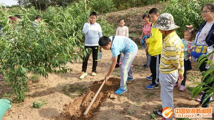 ����ʩ�ʷ���