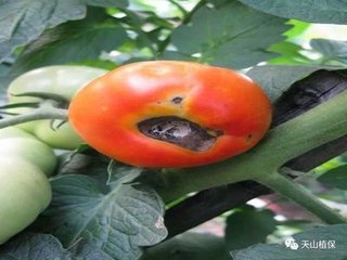 ȱ�}һ��Ҫ���ģ��@Щ�a�}�ĳ��R���֪��