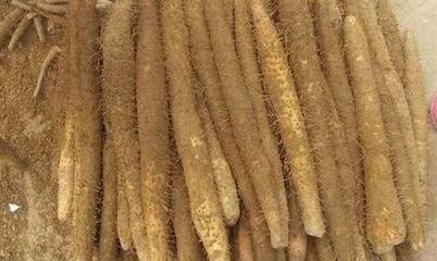 ɽˎʩ�ʼ��g(sh��)