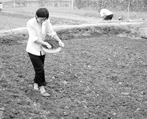 �׷�ʩ�ö����t��ᄴ��e��ÿ��ʩ�@�������������