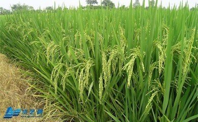 ˮ����������c(di��n)��ʩ��ԭ�t