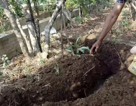 �¹ܷʃr��ô�q���@��ʩ��Ч�ʸߣ�