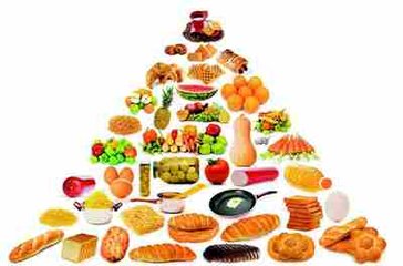 ��ҕԪ���g���� �V�I�B�C�Ϲ���