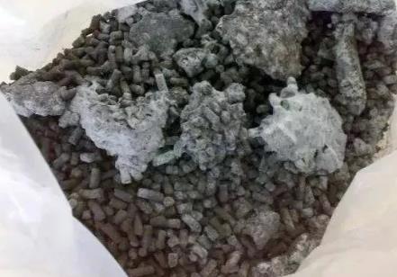 �L(zh��ng)��ë���Ĳ��Ǻþ��ʣ����ņ᣿