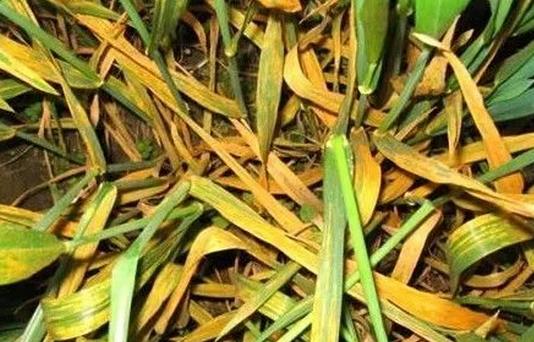 С���l�S����ȱ�ʣ��e�ˣ�߀���@Щ�Y�����������ʩ��