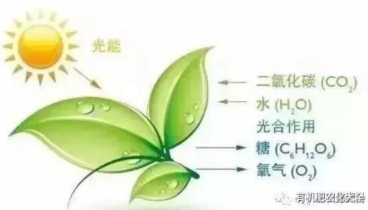 �����L���ã�90%����ȱ̼��ɵģ������㿴��