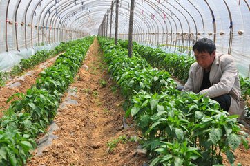 2018�괺���߲˿ƌW(xu��)ʩ��ָ��(d��o)��Ҋ