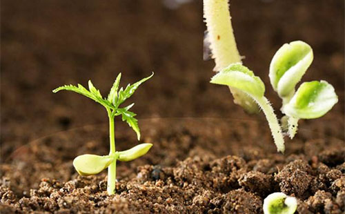 ���ϷN���׃����΢������Ϟ�ʲô߀�����ã�