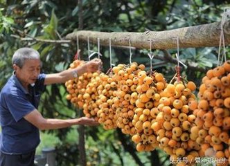 ���˵ĸ߮aʩ�ʼ��g