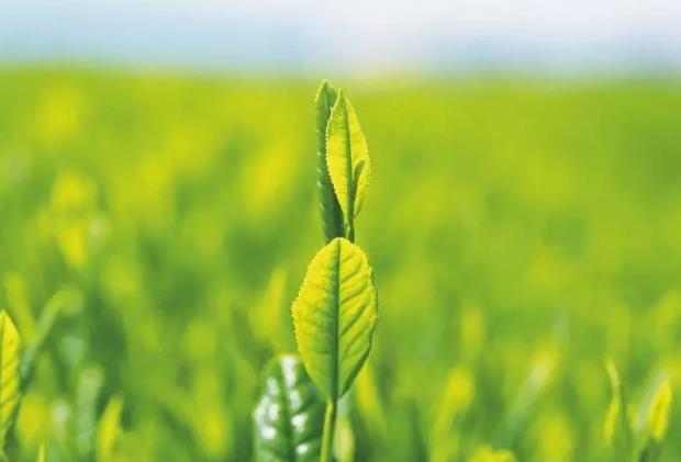 �������B�������� �@�NԪ�ر��F����