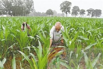 �ļ�����׷�ʌ���Ҫ�c