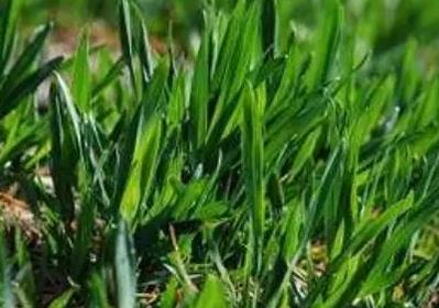 �r(n��ng)�Y�˱�������紺С����ܼ��g(sh��)��