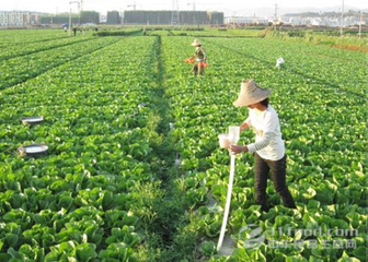 �߲������ʩ��