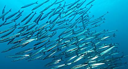 �~���׷�����ʲô����