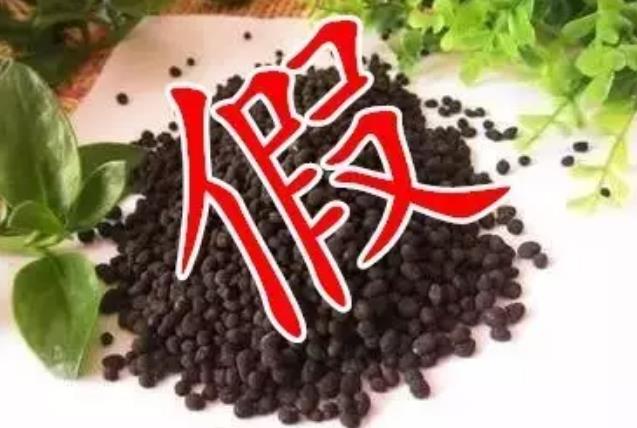 ���w�����ʡ����ǡ��١��ģ�