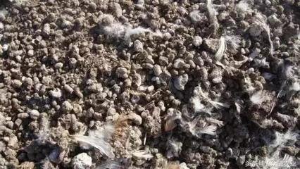 �ЙC��ʹ��Ч�����ѣ����}���������ˣ�