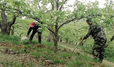 ���س�����׷���⣬߀���@Щ��;��