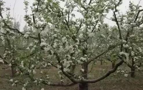 ����ʩ�ʺ󣬞�ʲô����s���ˣ��@Щ�e��ǧ�f�e�ٷ���