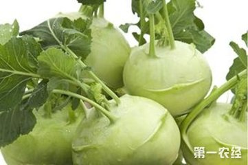 ���ý�˵�ʩ�ʷ���