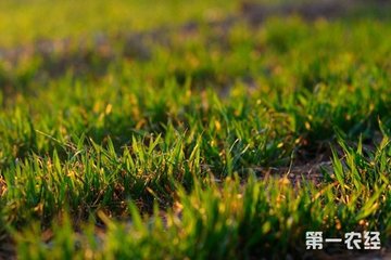 С������ ��������ôʩ�ʣ�