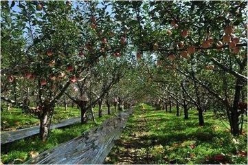 �������Ҏ��׷��