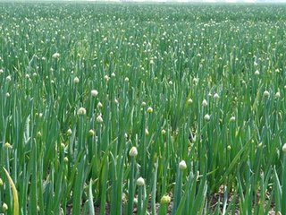 �[���(l��i)�߲�ʩ�ʵķ���