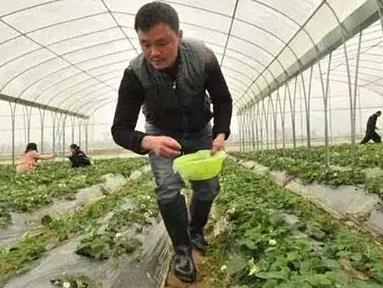 ʩ�ʵ�21���`�^(q��)���@�ɾ�����Įa(ch��n)���]�e�˸ߵ�ԭ��