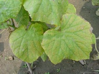 �߲�ȱ�����η���