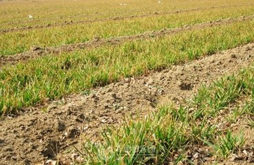 С���_������һ�ʡ�ԓ��ô׷��