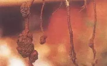 ��ȫ���u�Sʩ�ó��R���������V�����ʩ�ø���Ч��