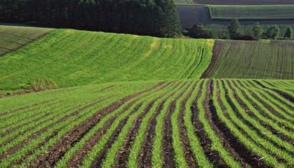 2018��ȫ����С��������ܼ��g��Ҋ