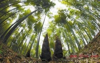 ���S�ĹSǰʩ�ʼ��g(sh��)