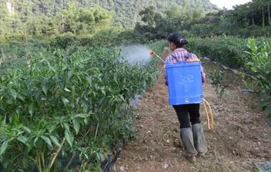 �~����c�r(n��ng)ˎ����5�c(di��n)ע�⣡����a(ch��n)���ʺ�ˎ��