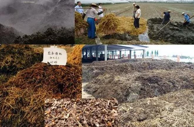 �ЙC�ʰl�ͼ��g��