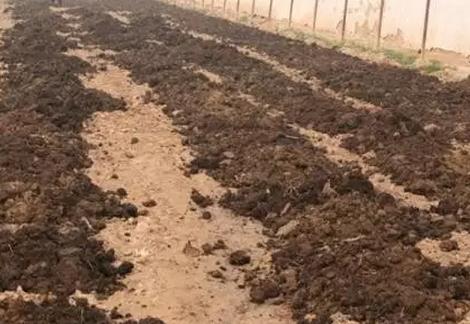 �ЙC���Ϻã�ʩ�e�Ĵ��£�ǧ�f�e���@Щ�e�`��