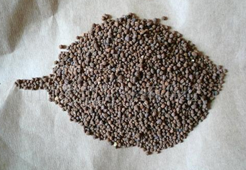 ����֮�gҲ����������ˡ������ղ��Õ��Դ�̝��