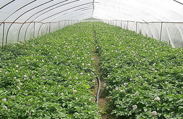 �����߲˵�ʩ�ʷ���