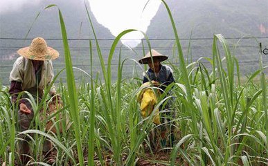 ���ʩ��Ч�ʵķ���