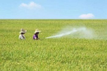 ��������ʡ�ɱ�������ɵ�����