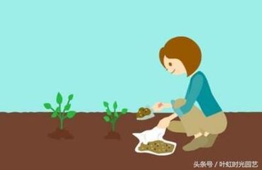 6�����н���ƌWʩ��ˮ�ܷʡ������r�I�Gɫ�lչ��