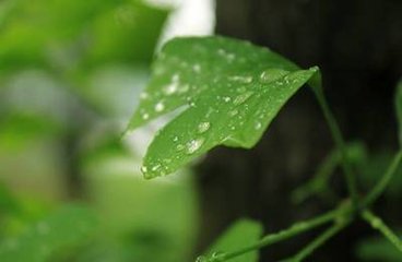 �~��ʺ��{�����ƌWʩ�÷���ָ��