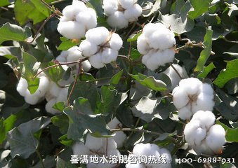 �޻����ƽ��ʩ�ʣ�