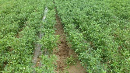 �߲��~��׷�ʵ�ע�����