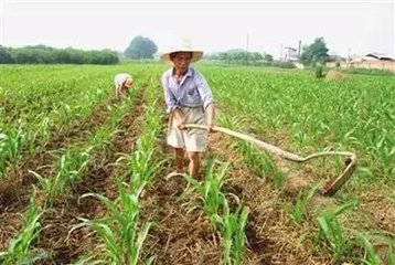 ����ȱ������Щ�Y�