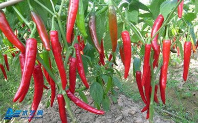 С�⽷��ʩ�ʺ͹�ȼ��g