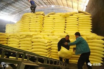 �I���ʣ��@���cǧ�fҪע�⣡