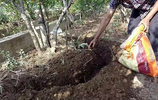 ����ʩ�ʣ��@Щ�ׅ^��һ��Ҫע���@�^