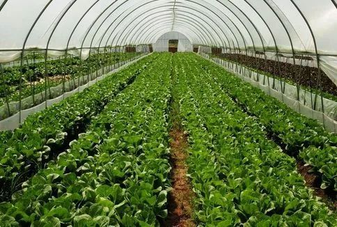 �߲���ʩ�i������