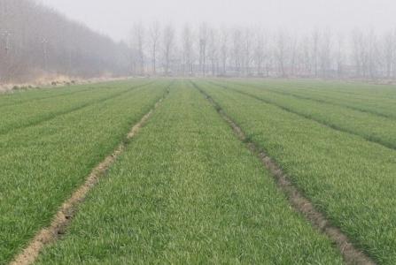 С��ʩ�ʹ������g