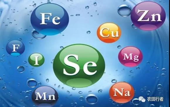 ԩ��ԩ������鲻���@��������ʩ�ķ���һ������ˮƯ��